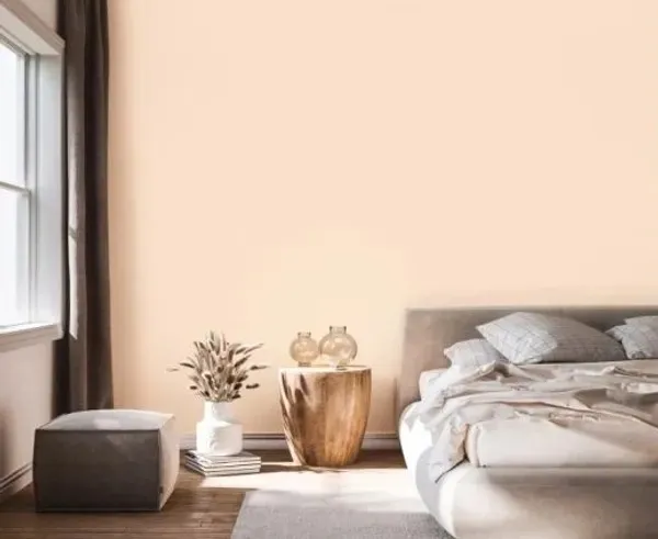 Wall Finishing